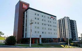 Ibis Guaíba